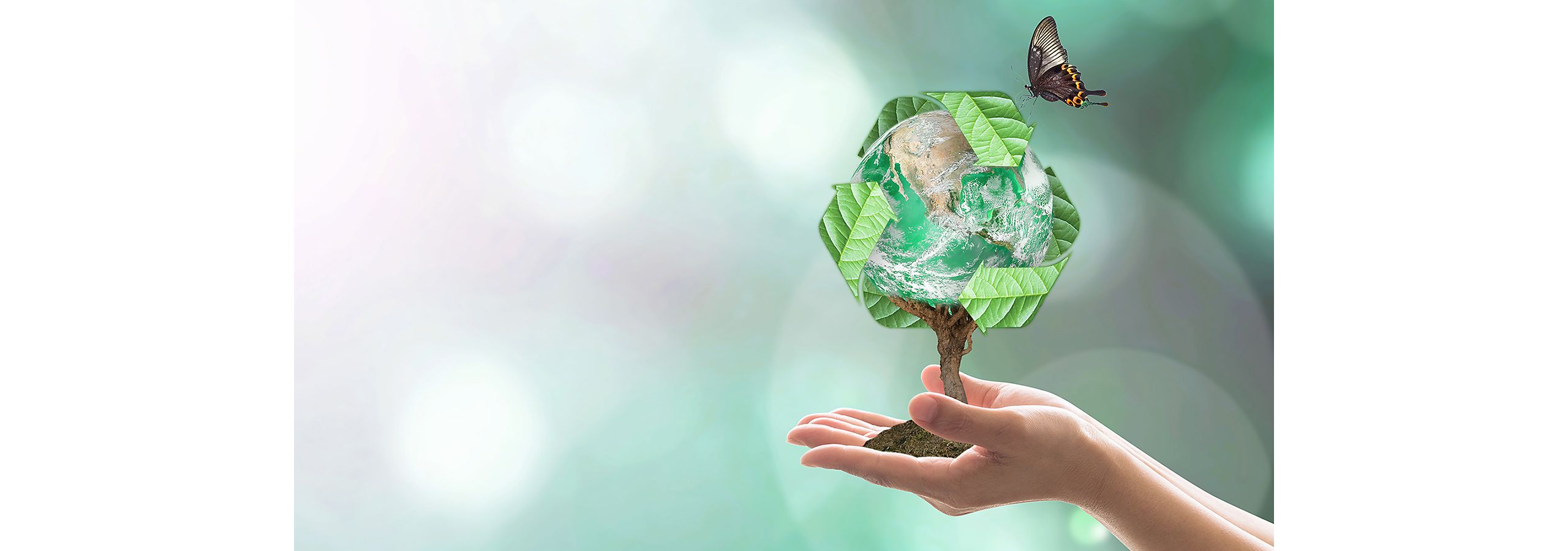 Discover Toyota - Environmental Sustainability