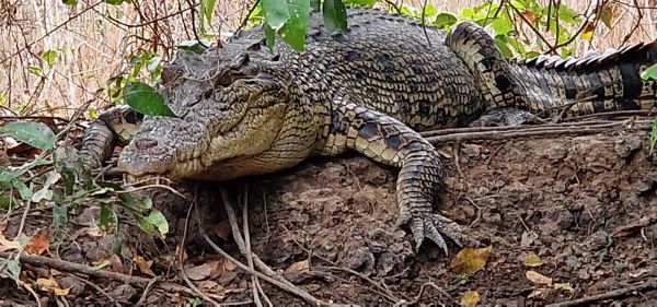 Kakadu nasjonalpark