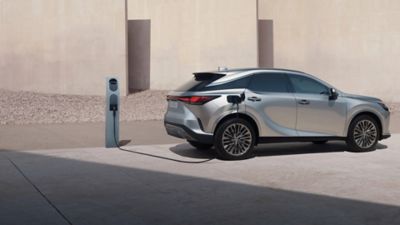Ein Lexus RX steht an einer Elektroladesäule, die sich am Rand einer gepflegten urbanen Grünfläche befindet.