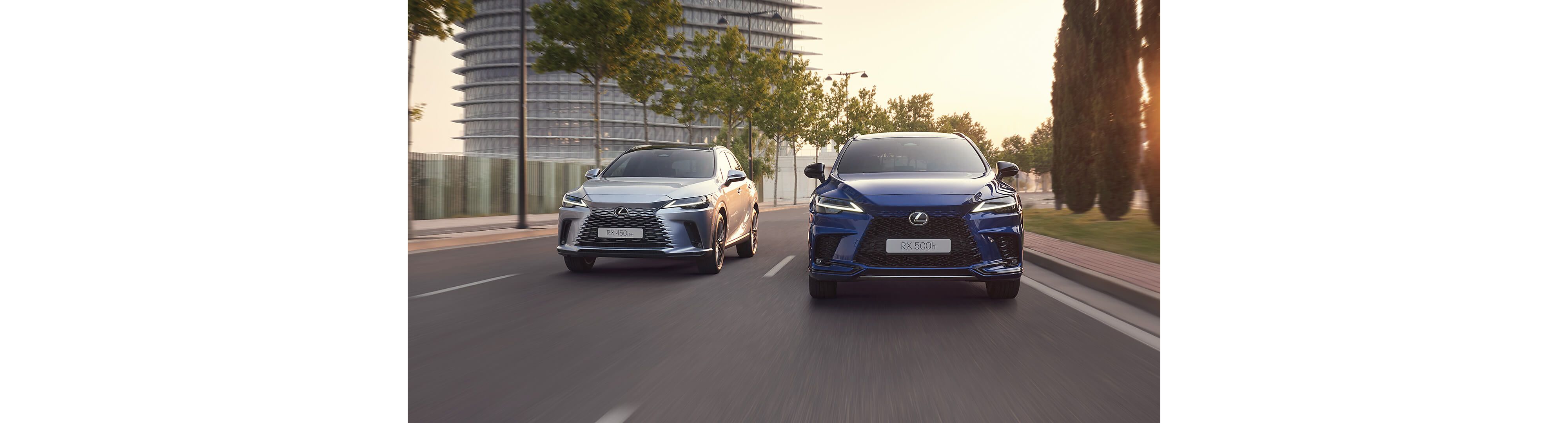 A Lexus RX 450h+ and Lexus RX 500h driving on a road