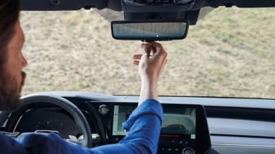 The Digital Panoramic View Monitor feature in the Lexus RX