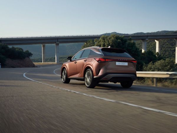 Rear view of the Lexus RX driving on a road