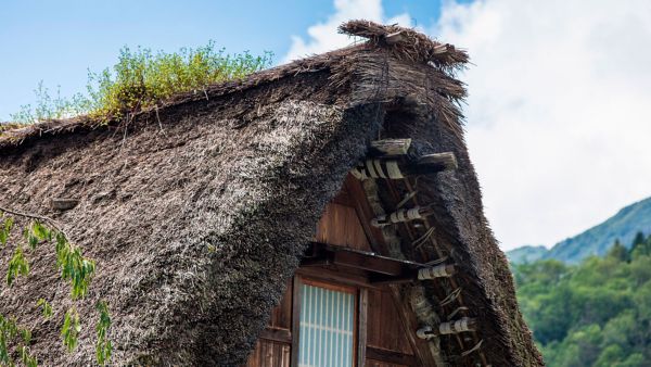 shirakawago