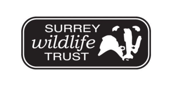 surrey wildlife trust logo