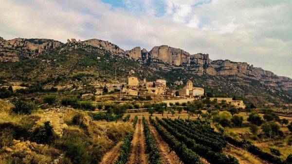 España es un mundo: Montsant, Tarragona