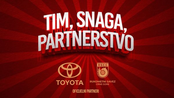 tim partnerstvo snaga