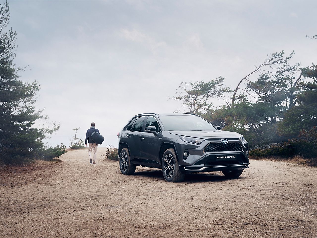 4x4 plug shop in hybrid