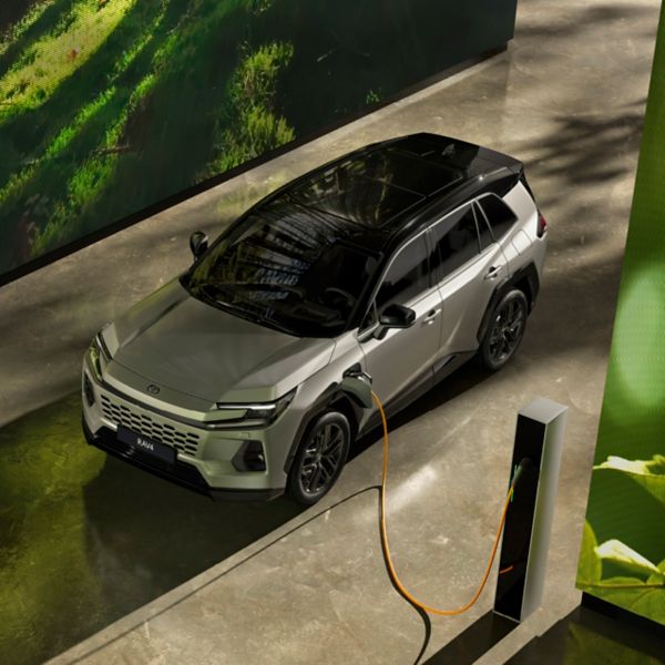 Zijaanzicht van een Toyota RAV4