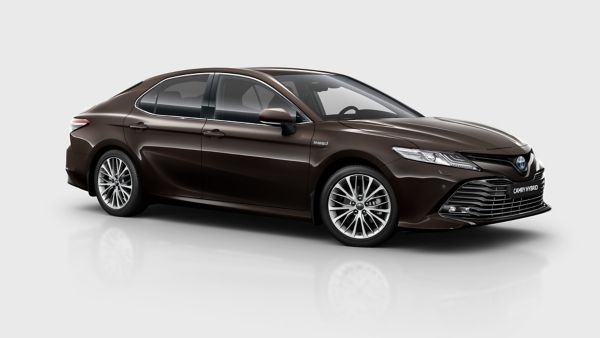 Camry Galerie 19