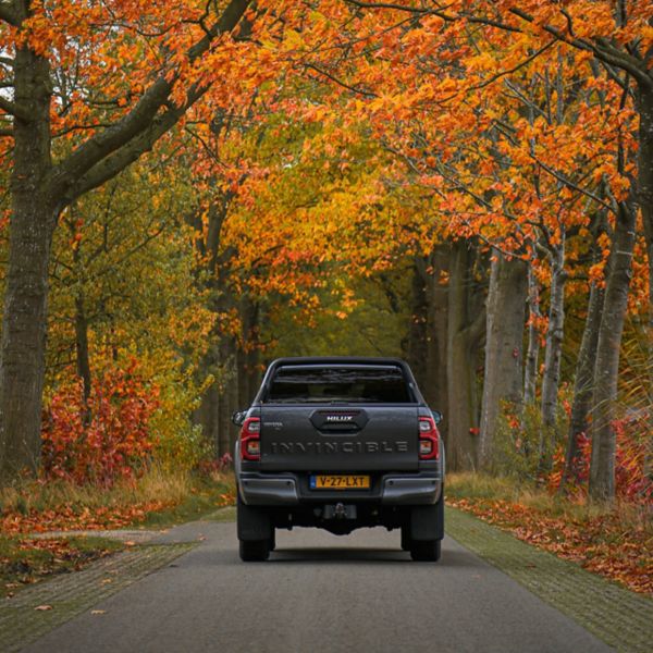 Toyota Hilux 2025 exterieur achterkant herfst bos