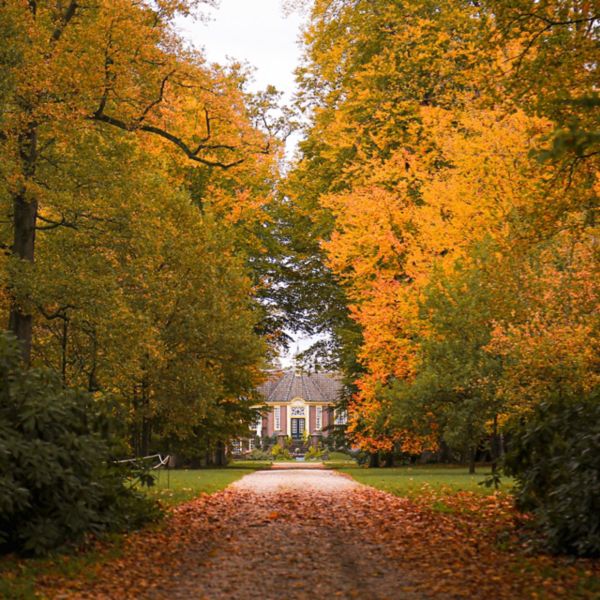 Toyota lifestyle 2025 bospad kasteel