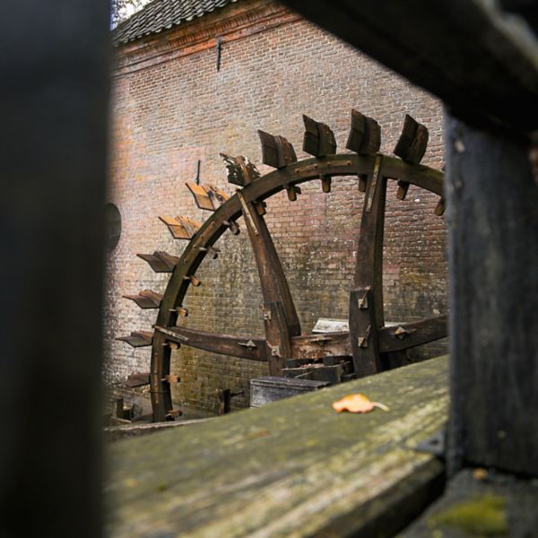 Toyota lifestyle 2025 molen