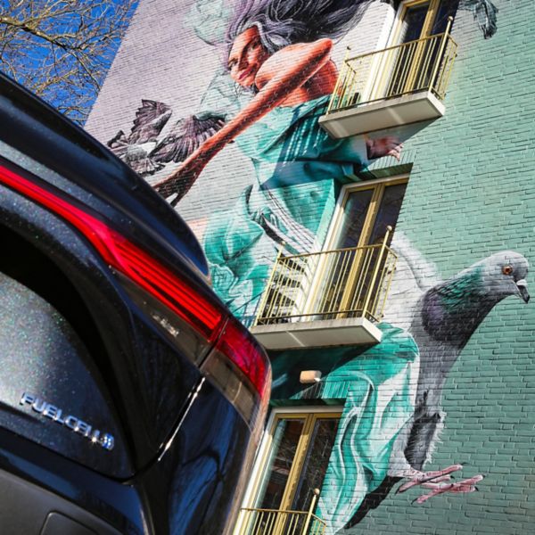 toyota, mirai, 2025, exterieur, achterkant, embleem