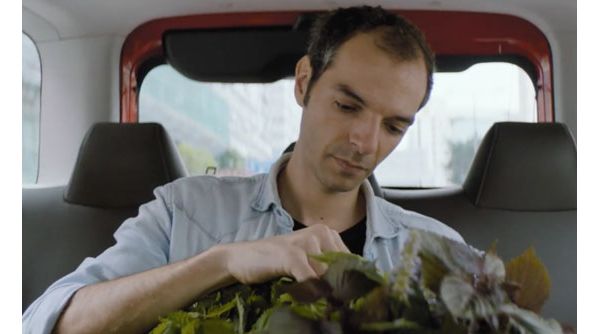 driven pol fabrega