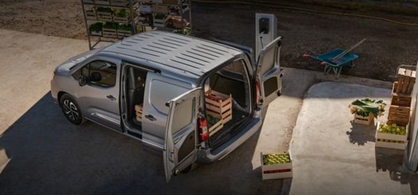 Proace Electric