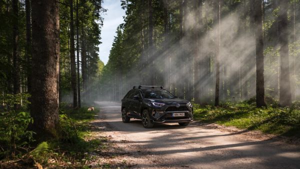 RAV4 PHEV driving on a dirt path