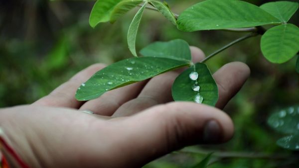 Toyota reduce el consumo de agua