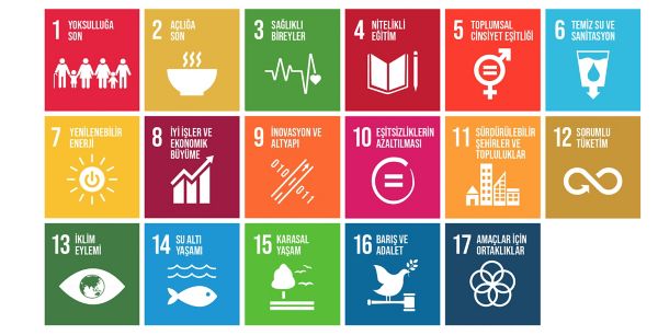 Infographic explaining sustainability at Toyota