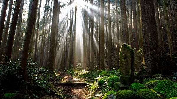 Japón: Destino seguro y sostenible