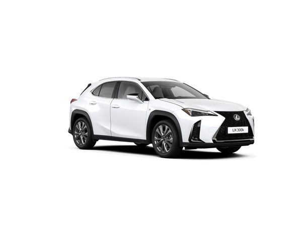 Ein weißer Lexus UX in Seitenansicht auf weißem Hintergrund