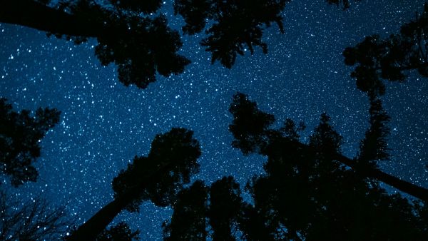 ver estrellas