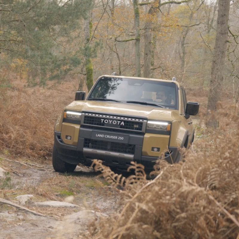 System rozłączania przedniego stabilizatora (SDM)