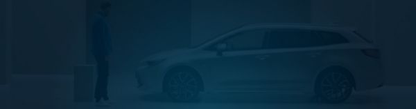 ¿Qué híbrido se adapta mejor a mí?