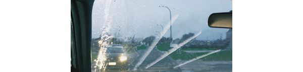 Sulka pitää ääntä ja se liikkuu hypähdellen.